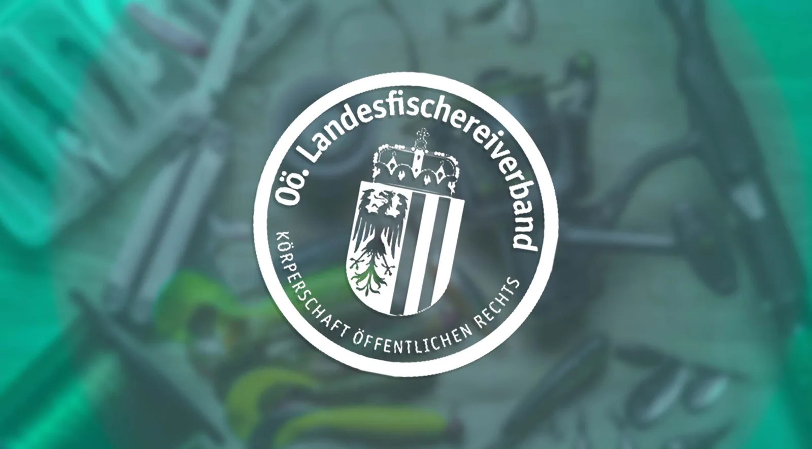 Landesfischereiverband – Projektübersicht